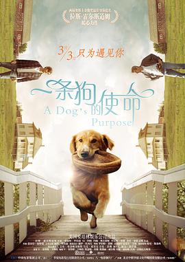 他扒开我的内裤强吻我下面视频